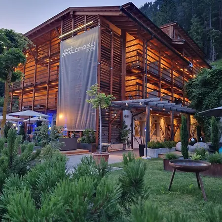 Smart Saslong Hotel Santa Cristina Val Gardena
